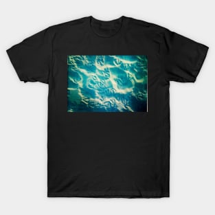 Seagull Prints in the Sand T-Shirt